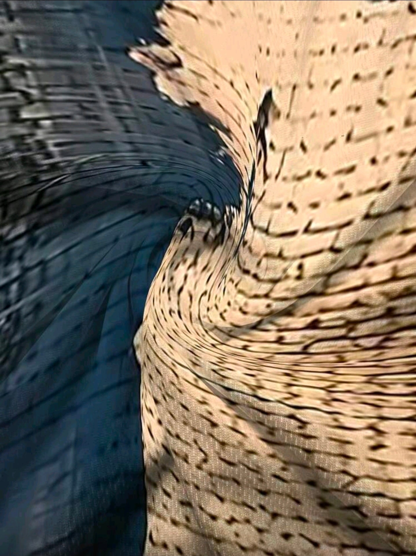 Polera OH ALPHA “Urban Textures – Edición Artística”